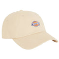 Dickies Hardwick Cap Off White