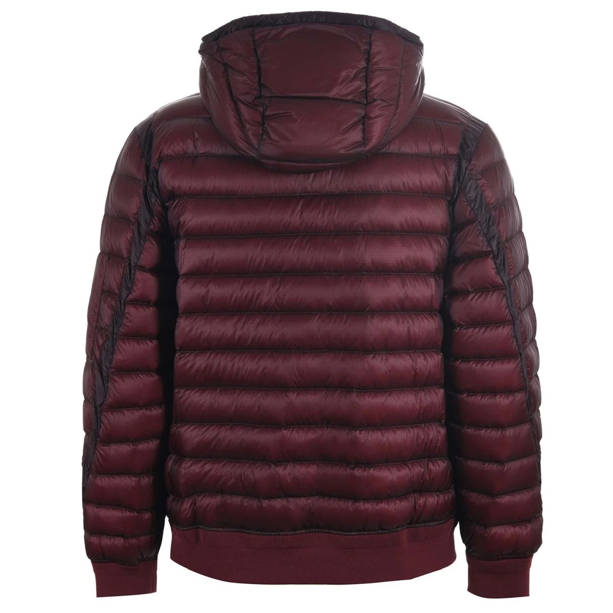 CP Company D.D. Shell Hooded Lens Down Puffer Rood