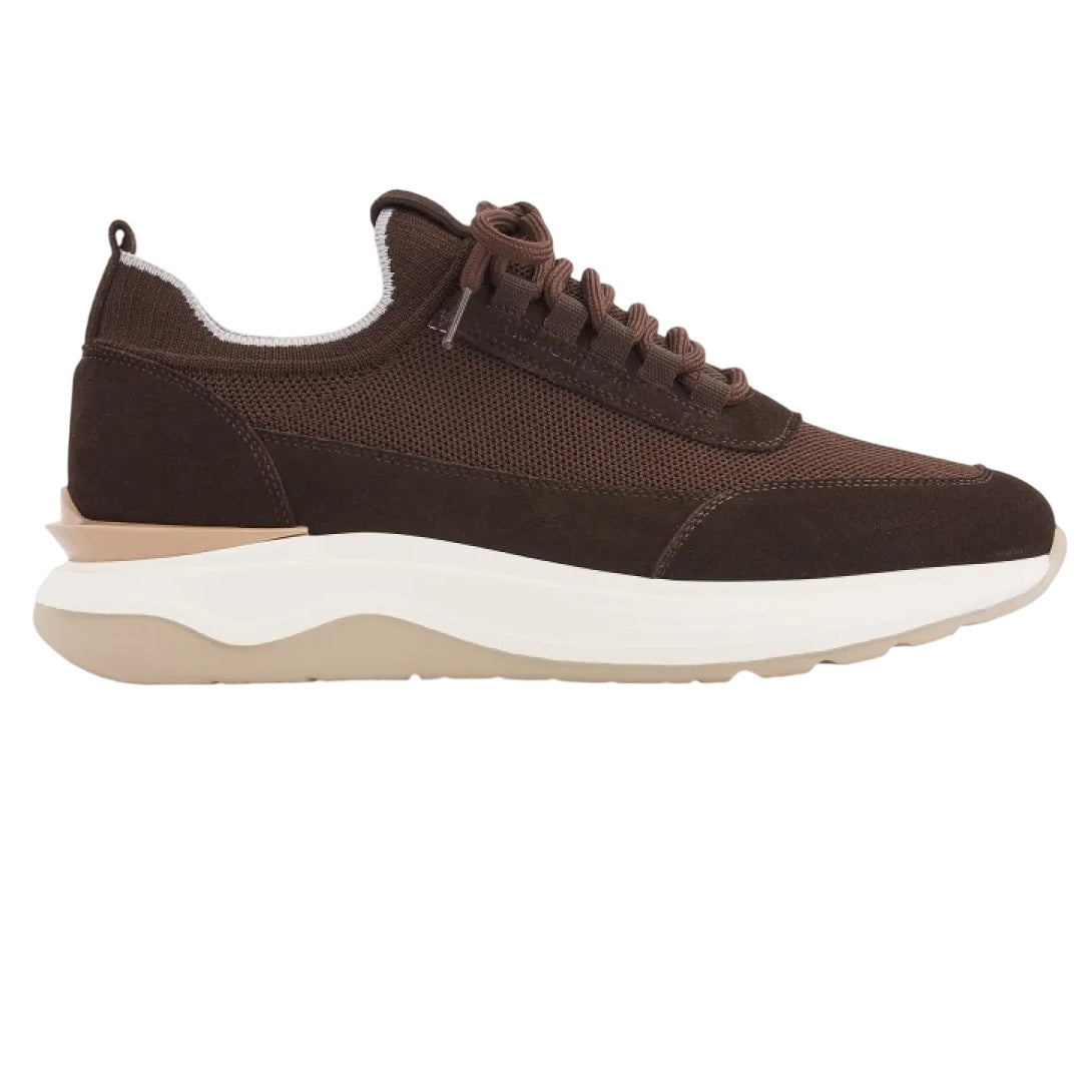 Gentiluomo Minotti Sneaker Bruin